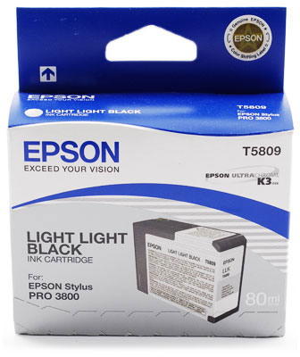 Epson T5809 Harmaa